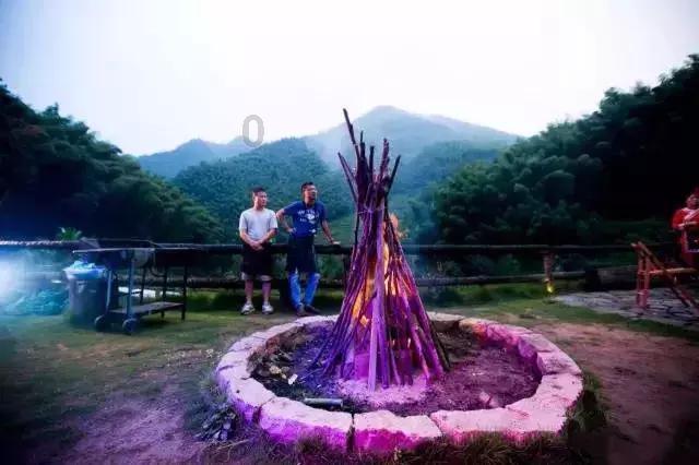 春雨直播app